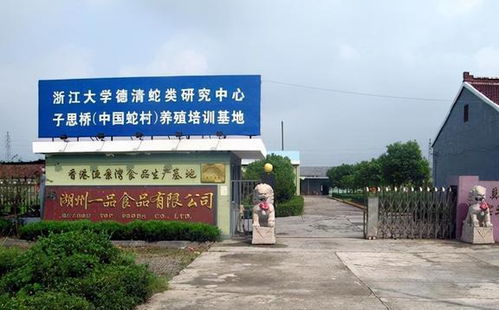 中國第一蛇村 150戶人家養數百萬條蛇,為何鮮有年輕人繼承