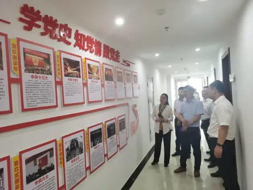 弘揚渡河精神，打造魅力孫口——臺前縣孫口鎮開展喜迎建黨百年主題黨日活動